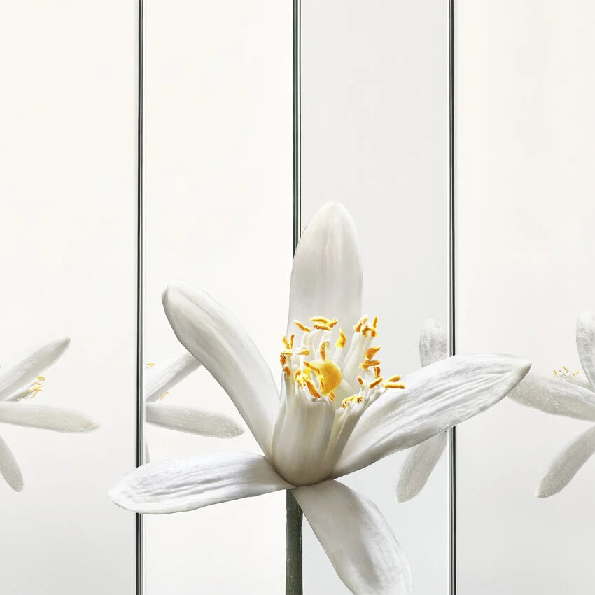 Yves Saint Laurent MYSLF Eau de Parfum