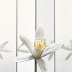 Yves Saint Laurent MYSLF Eau de Parfum